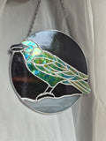 Royal Stained Glass Fancy Raven